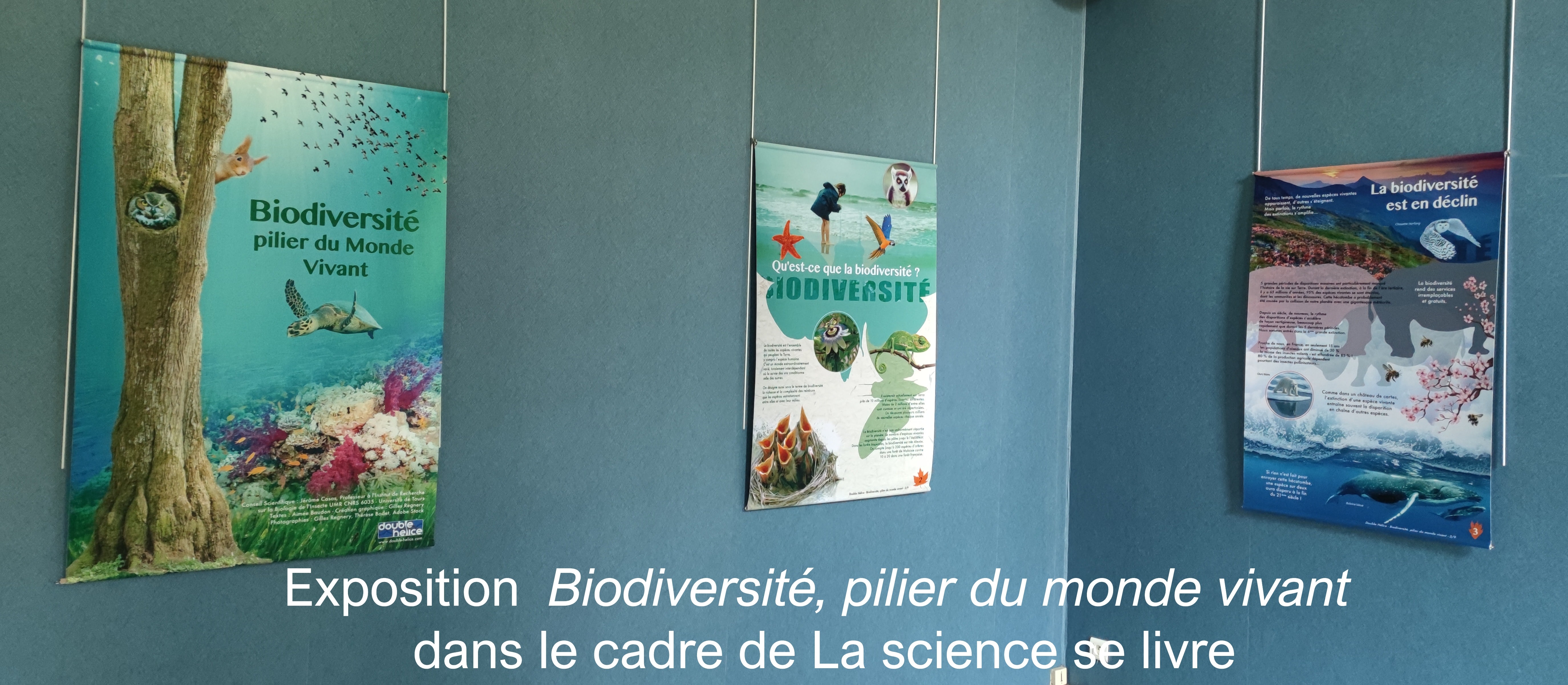 Exposition Biodiversit pilier du monde vivant dans le cadre de La science se livre 2025.jpg